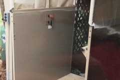 pic1